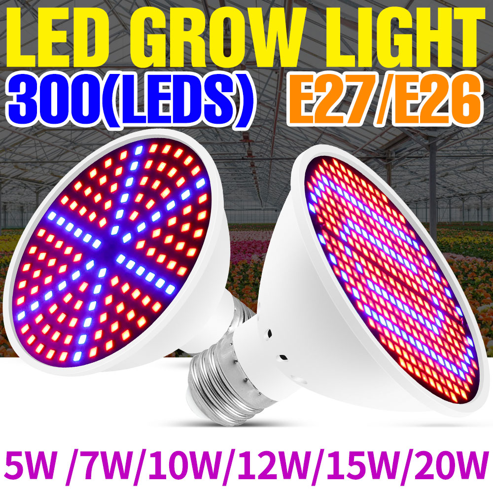 25W E27 Full Spectrum LED Plan - Echeveria Succulent review and price